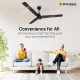 Atomberg Renesa Smart 1200mm Midnight Black BLDC Ceiling Fan with IoT & Remote | Energy Efficient Ceiling Fan| High Air Delivery with LED Indicators 