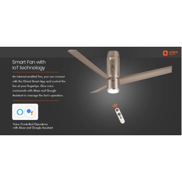 Aeroslim with Lot, R...