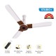 Atomberg Studio Plus 1200mm Pearl White $ Teawood BLDC Ceiling Fan with Remote Control | BEE 5 star Rated Energy Efficient Ceiling Fan | High Air Delivery with LED Indicators | 2+1 Year Warranty 