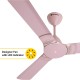 Atomberg Erica 1200mm Lotus Pink BLDC Ceiling Fan with Remote Control | BEE 5 star Rated Energy Efficient Ceiling Fan | High Air Delivery with LED Indicator | 2+1 Year Warranty 