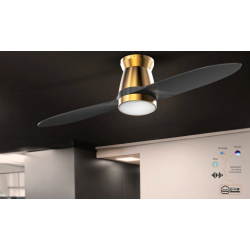 Sturlite's Twinsync 1320mm ceiling fan(Brass+Black)