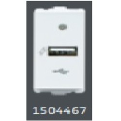 V-Guard Matteo USB Charger 2000 mA-1M Modular Switches 1504467